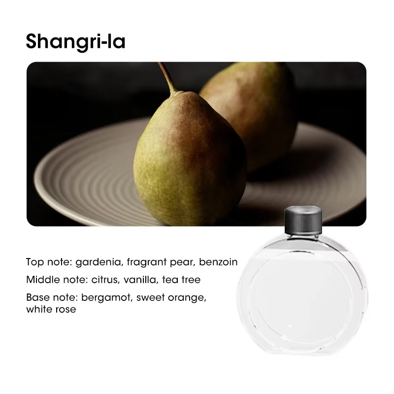 Portable Aromatherapy Machine Home Intelligent Essential Oil Diffuser USB Multifunctional Adjustable Air Purification Freshness