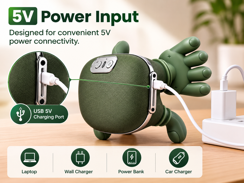 5V Power Input